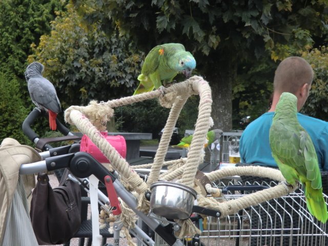 2011-09-04 Wantijpark